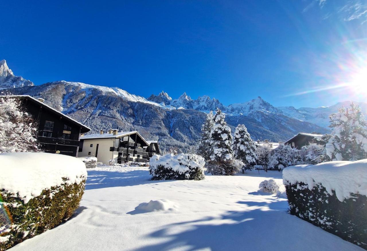 Chamonix Appartement Vue Mont Blanc Avec Jardin Exterior foto